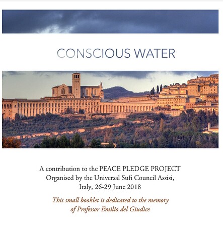 Conscious Water Peace