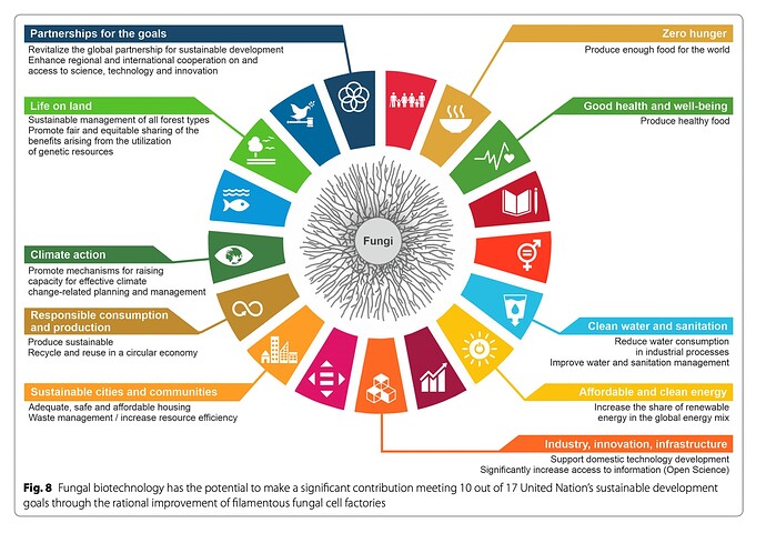 UN SDG Fungal Biotech